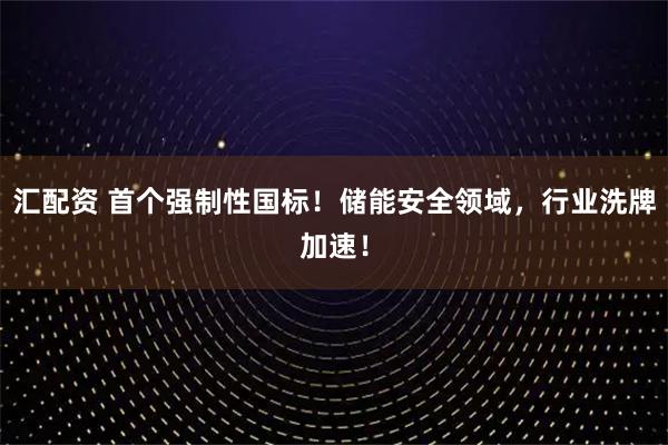 汇配资 首个强制性国标！储能安全领域，行业洗牌加速！