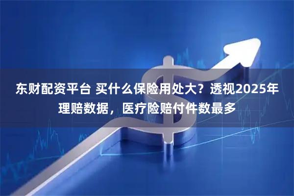 东财配资平台 买什么保险用处大？透视2025年理赔数据，医疗险赔付件数最多