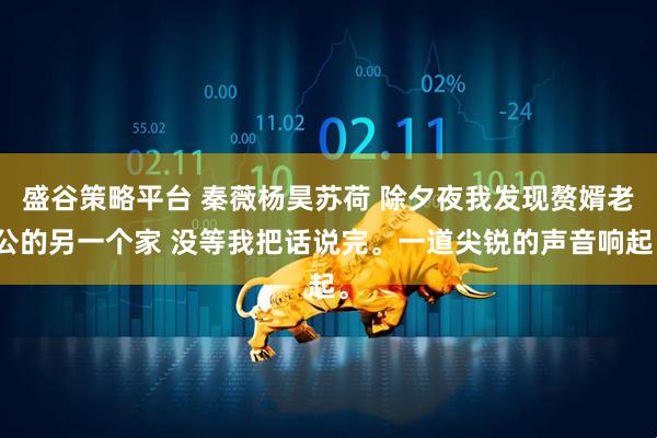 盛谷策略平台 秦薇杨昊苏荷 除夕夜我发现赘婿老公的另一个家 没等我把话说完。一道尖锐的声音响起。