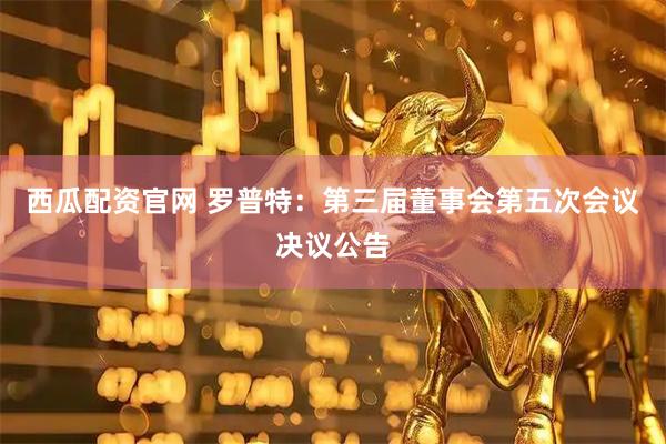 西瓜配资官网 罗普特：第三届董事会第五次会议决议公告