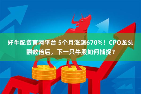 好牛配资官网平台 5个月涨超670%！CPO龙头翻数倍后，下一只牛股如何捕捉？